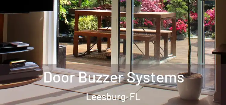 Door Buzzer Systems Leesburg-FL