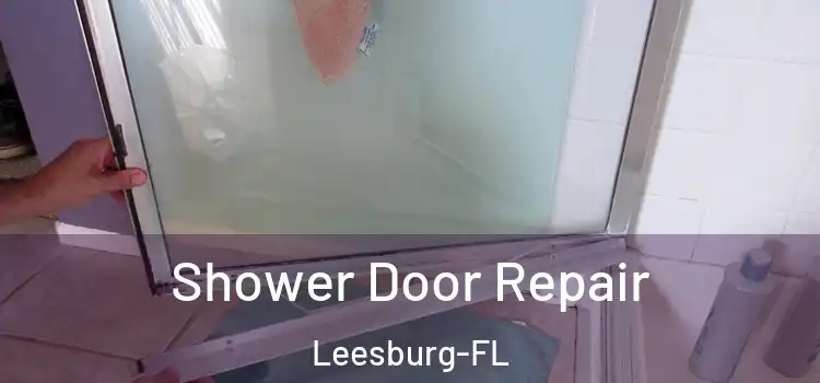 Shower Door Repair Leesburg-FL